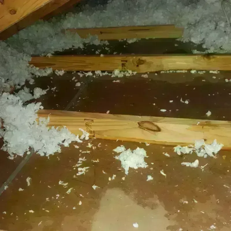 Attic Water Damage in Nueces County, TX