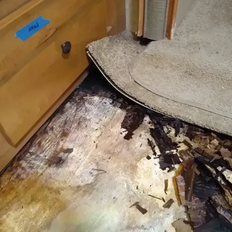 Wood Floor Water Damage in Nueces County, TX